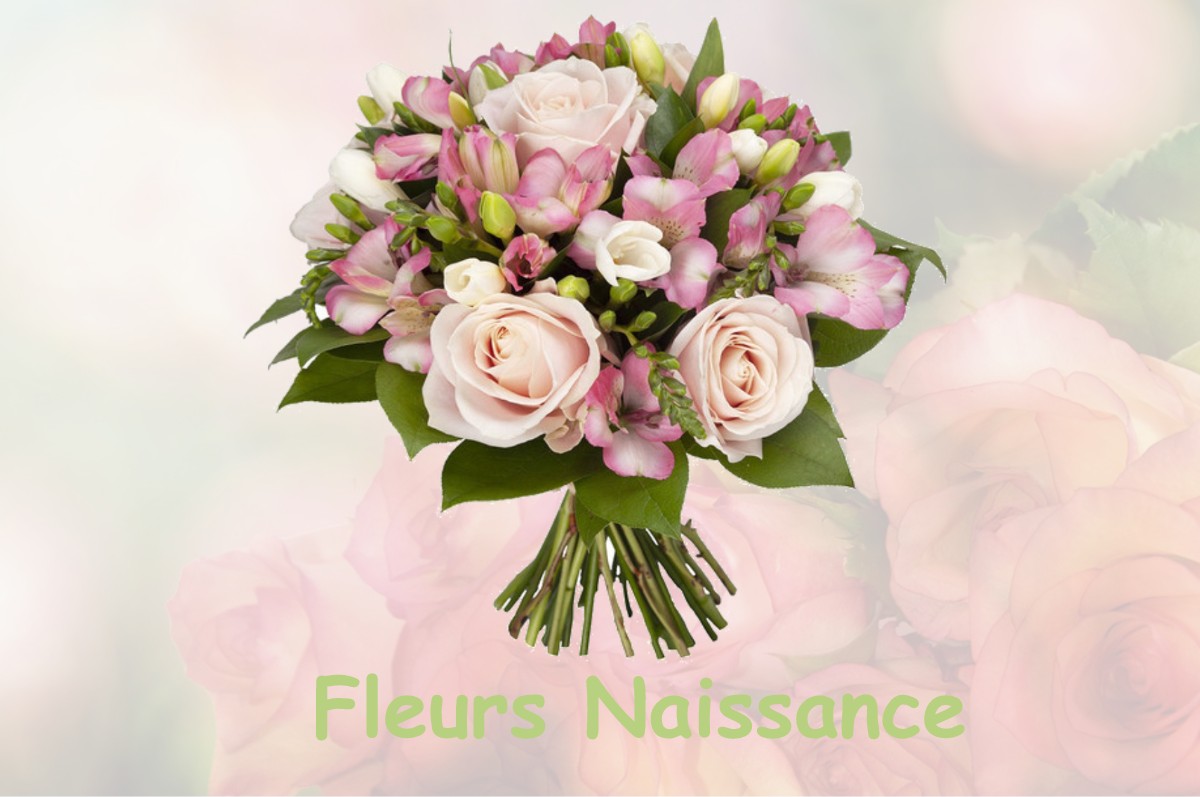 fleurs naissance CHEVROTAINE