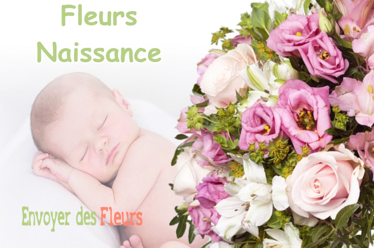 lIVRAISON FLEURS NAISSANCE à CHEVROTAINE